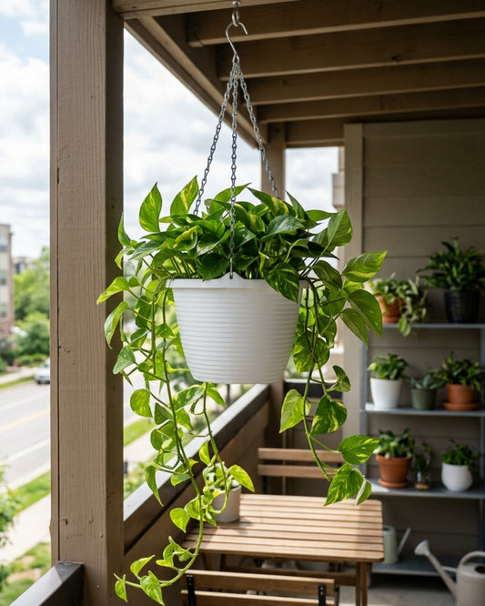 Ridg Hanging Plastic Planter White 9 in with Chain
