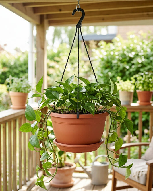 Ridg Hanging Plastic Planter 25 cm Terracotta Color - Lifestyle view