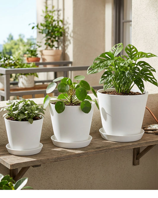 Ridg Plastic Planter Set of 3 with Saucers White - Lifestyle view